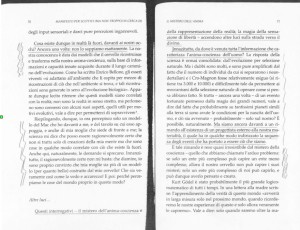 strafellini 1
