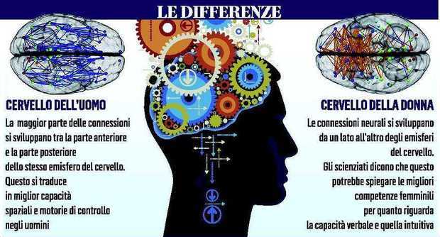 Cervello Maschile E Cervello Femminile Differenze E Complementarita Filosofia E Scienza