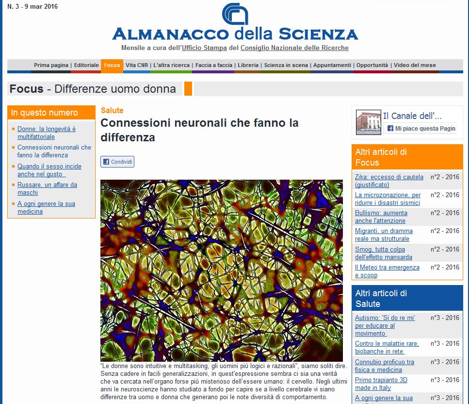 Cervello Maschile E Cervello Femminile Differenze E Complementarita Filosofia E Scienza